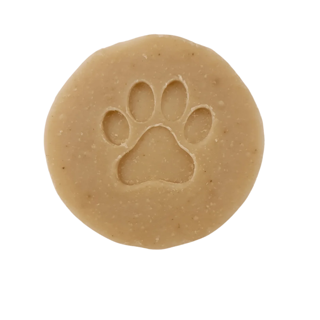 Shampoing naturel chien chat